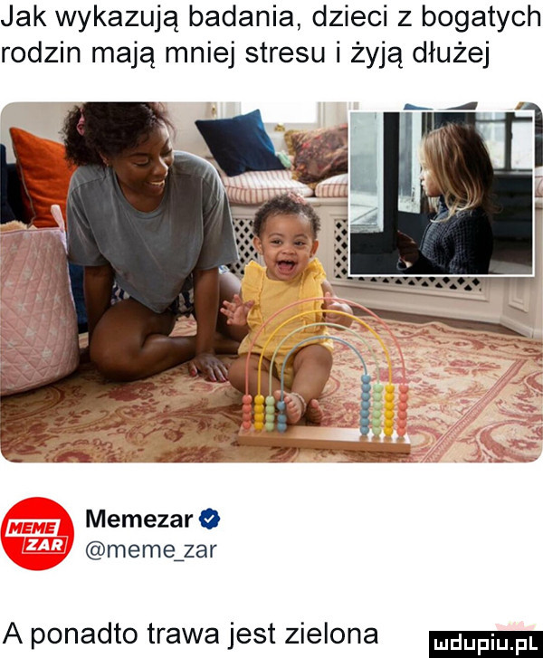 jak wykazują badania dzieci z bogatych rodzin mają mniej stresu i żyją dłużej memezar o memązar a ponadto trawa jest zielona