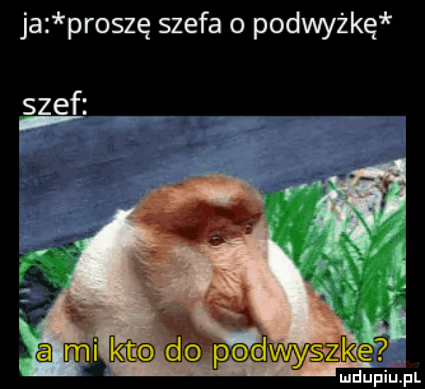ja proszę szefa o podwyżkę szeﬁ al ludupiu. pl
