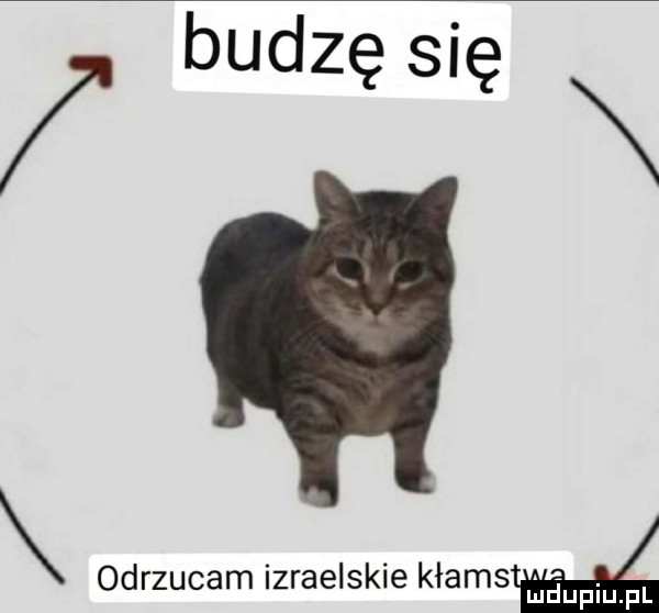 budzę się