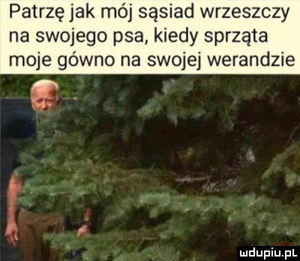 patrzę jak mój sąsiad wrzeszczy na swojego psa kiedy sprząta moje gówno na swojej werandzie