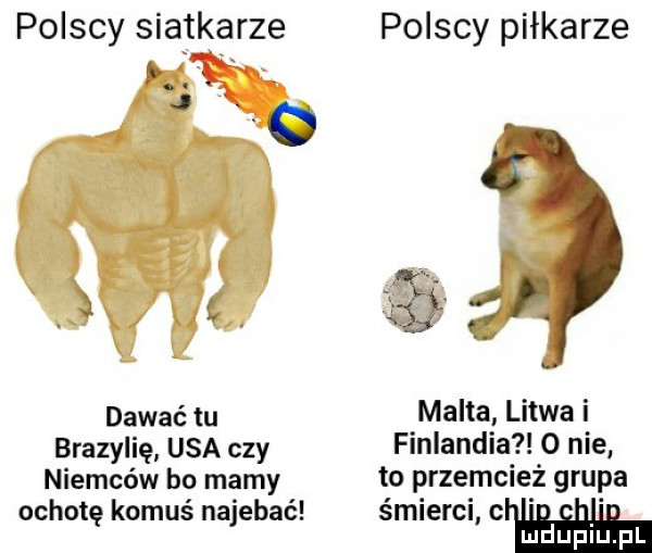 polscy siatkarze polscy piłkarze b.   l dawać tu malta litwa i brazylię usa czy finlandia   nie niemców bo mamy to przejcież grupa ochotę komuś najebać śmierci c