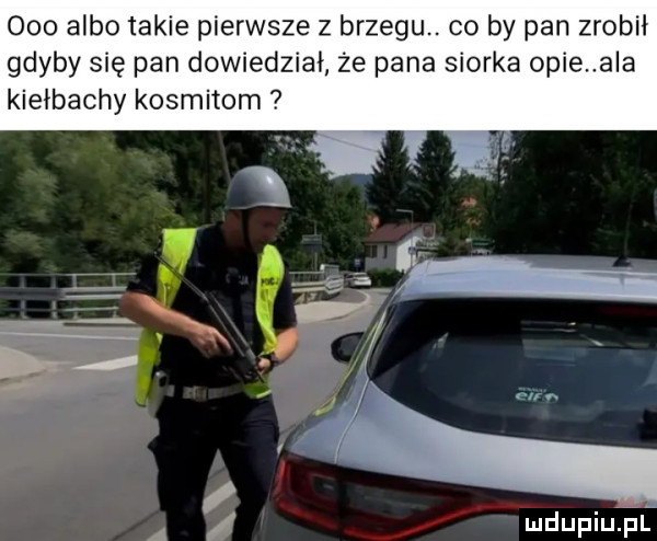 albo takie pierwsze z brzegu. co by pan zrobił gdyby się pan dowiedział że pana siorka opie a a kiełbachy kosmitom mdupiupf