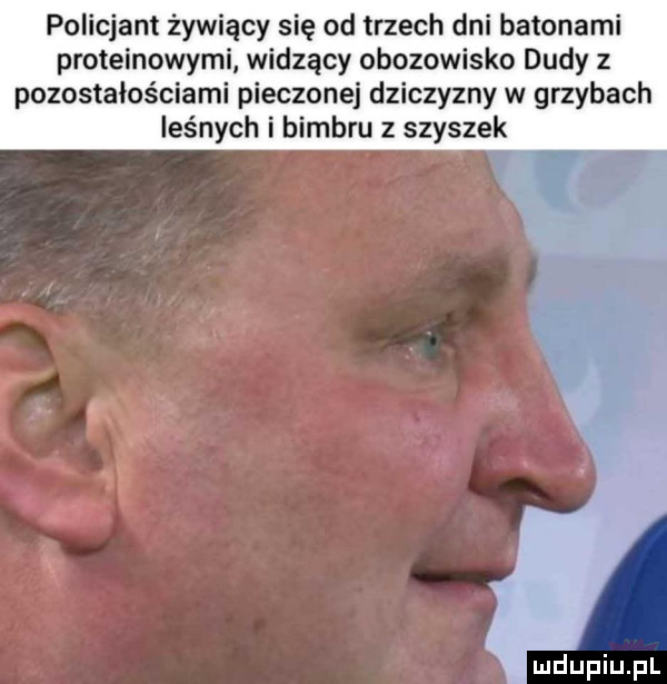 policjant żywiący się od trzech dni balonami proteinowymi widzący obozowisko dudy z pozostałościami pieczonej dziczyzny w grzybach leśnych i bimbru z szyszek