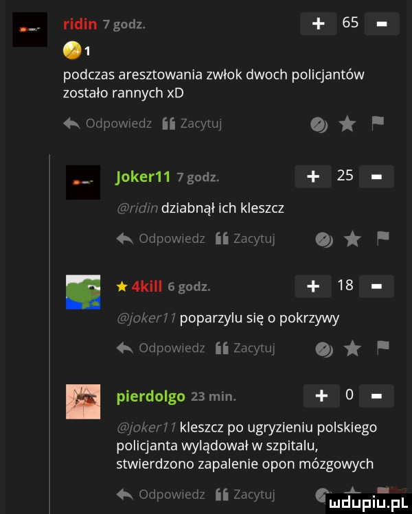 r d n godz.   .   podczas aresztowania zwlok dwoch policjantów zostało rannych xd  . oilliu lz ii lucy ui i joker    godz.    m mm dziabnąl ich kleszcz lea ii żw ml. or n  k   godz.      xkex s f poparzylu się o pokrzywy yawn w ii liqui. pierdolgo   mm   w kleszcz po ugryzieniu polskiego policjanta wylądował w szpitalu stwierdzono zapalenie opon mózgowych in mm mﬂ ﬁpiﬁpl mp