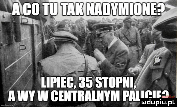 a w w glii i iialiiym alumna ludupiu. pl