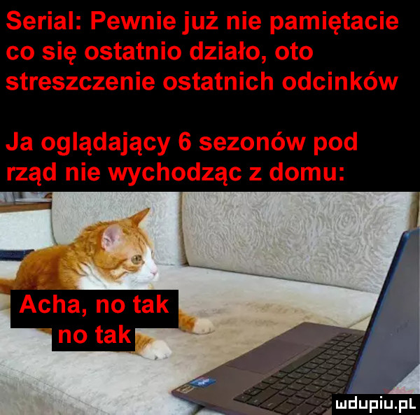 Obrazek