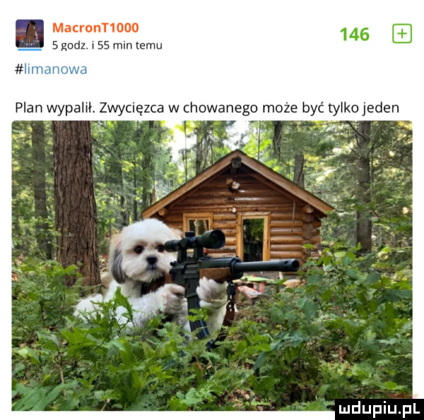 macront ozn   godz. w    mln emu plan wydam. zwycięzca w chowanego może być tylkojeden