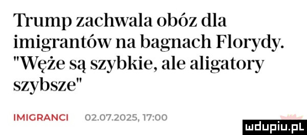 trump zachwala obóz dla imigrantów na bagnach florydy. węże są szybkie ale aligatory szybsze imigranci ham  mg hm ludu iu. l