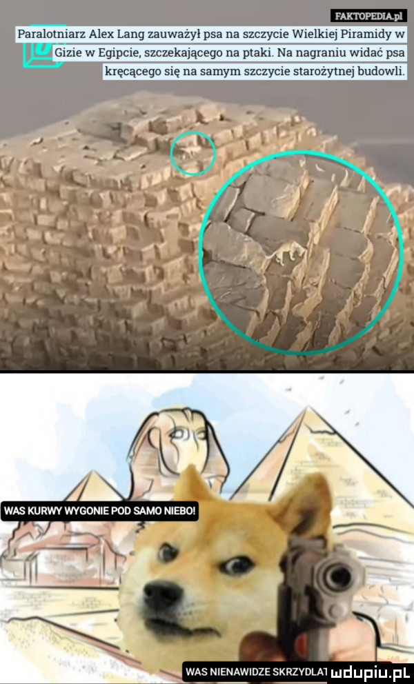nnopzm pl was kuba wvsonie pod samo niebo r was nienawidze skrzydła dupmpl