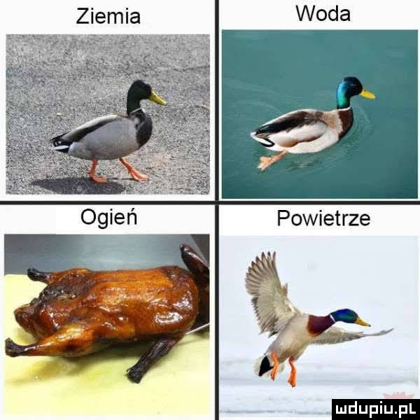 powietrze ludu iu. l