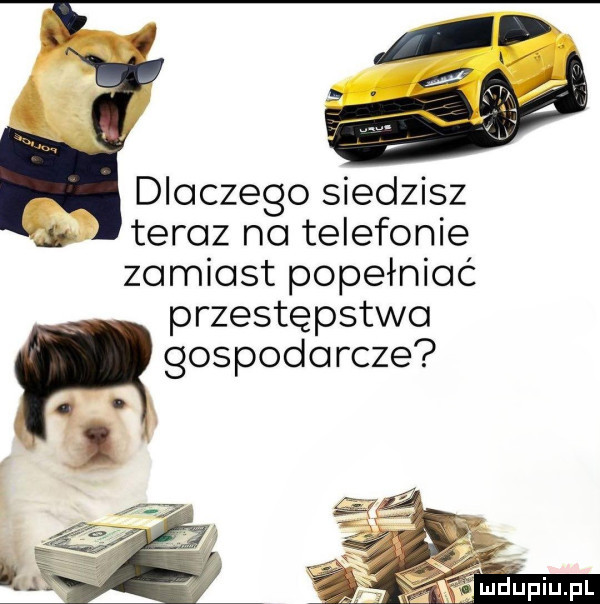 Obrazek