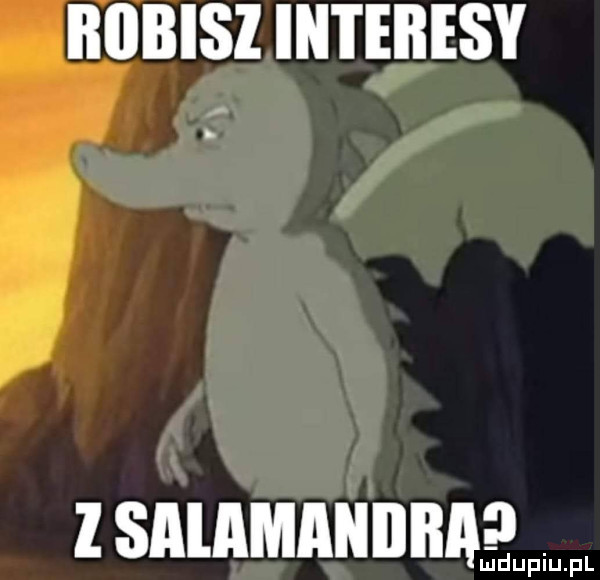 robisz interesy l smamaniibaq