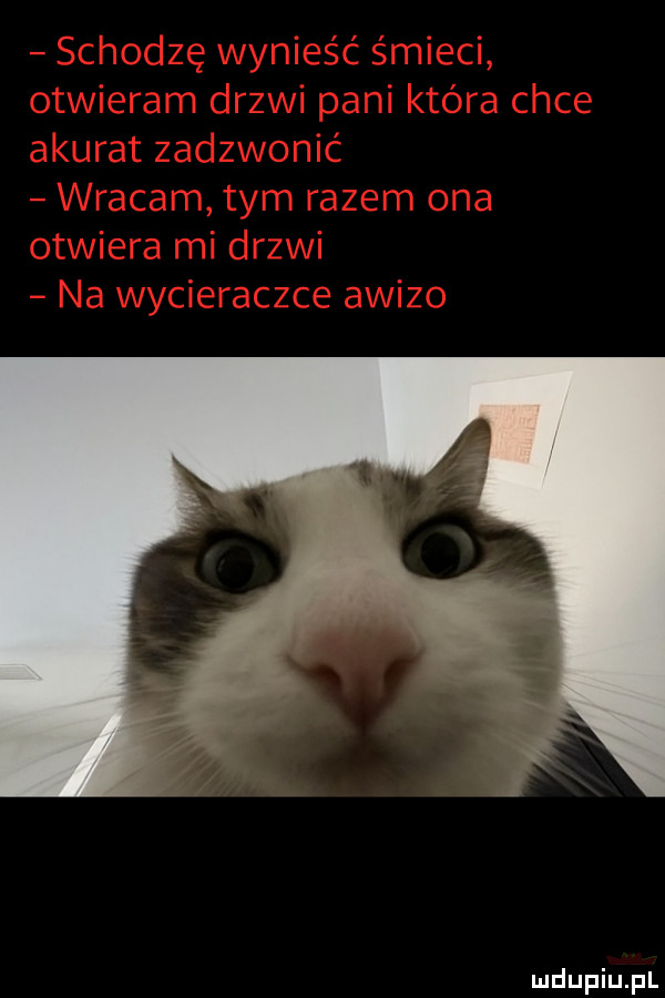 Obrazek