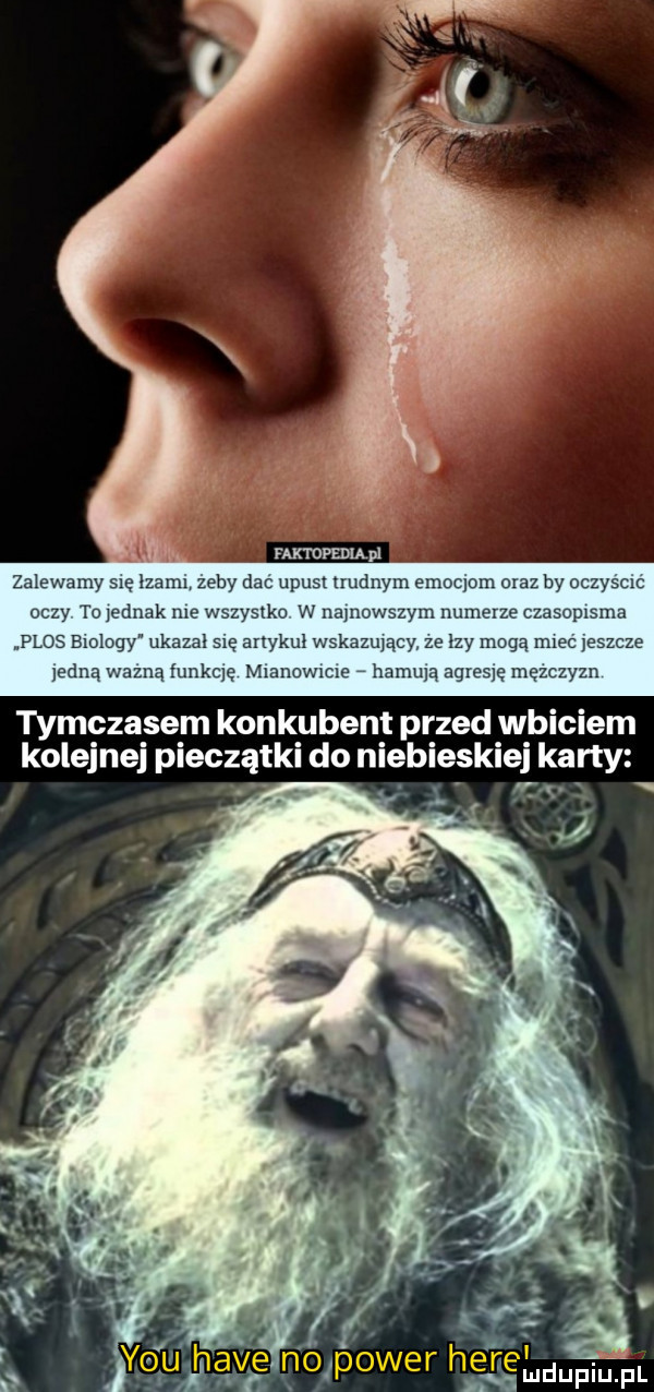 to iednak nie w ystko w namow plos          ka isięaxty xlwskaz ednawąznqiu ęi hmmwime lmmmąaqxesyęme tymczasem konkubent przed wbiciem kolejnej pieczątki do niebieski karty r . i d mdupiliial