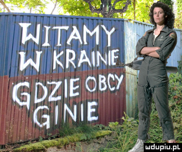 Obrazek
