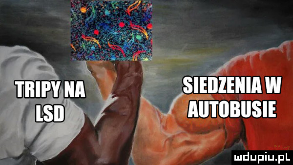 steiiiehiaw