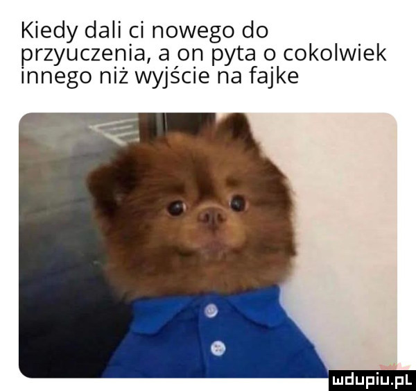 Obrazek