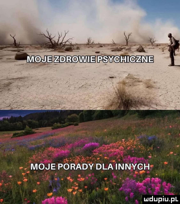 ludupiu. pl