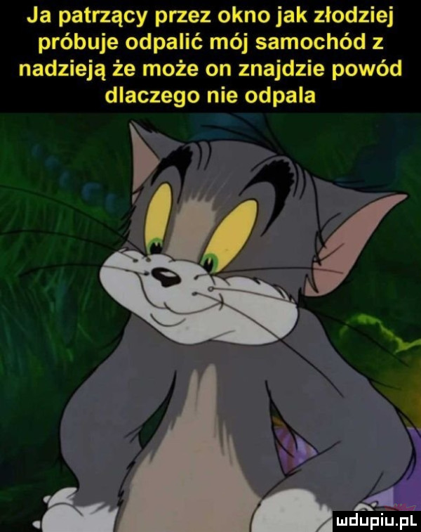 ja patrzący przez okno jak złodziej próbuje odpalić mój samochód z nadzieją że może on znajdzie powód dlaczego nie odpala