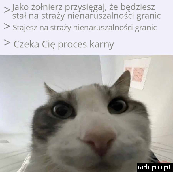 jako żołnierz przysięgaj że będziesz stał na straży nienaruszalności granic stajesz na straży nienaruszalności granic czeka cię proces karny