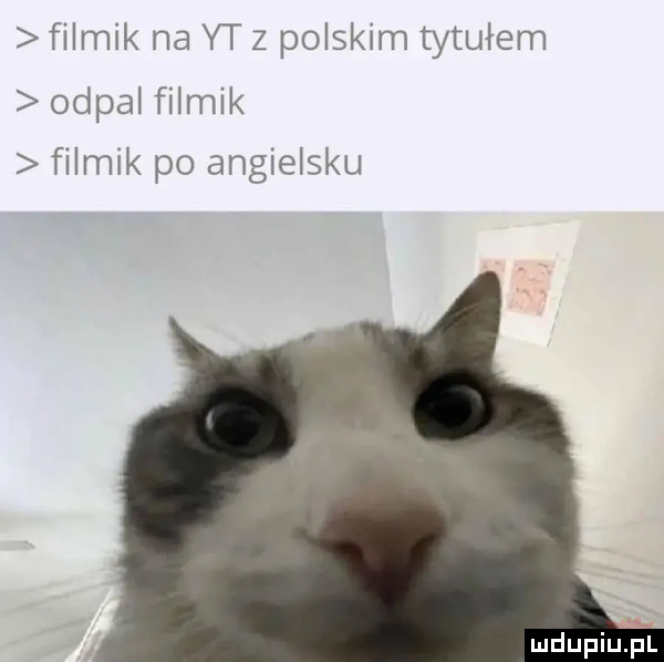 filmik na yt z polskim tytułem odpal filmik filmik po angielsku