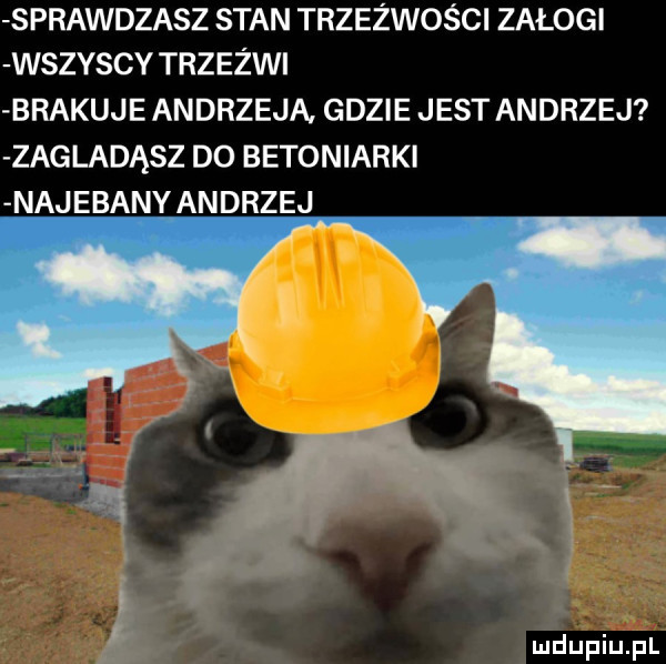 sprawdzasz stan trzeźwości załogi wszyscy trzeźwi brakuje andrzeja gdzie jest andrzej zagladąsz do betoniarki najebany andrzej