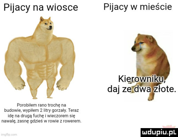 pijacy na wiosce j   porobliem vanolroche na budowle wypwem   may gmzaoy tel   me na qua łacne i wieczorem sie nawalę zasnę gdzieś w rowie z mwersm pijacy w mieście. abakankami  . kięnoynl u daj zefdwa z obe