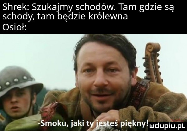 shrek szuka my schodów. tam gdzie są schody tam ędzie królewna osioł   smoku jaki tyﬁéeé pieknylmdupqul