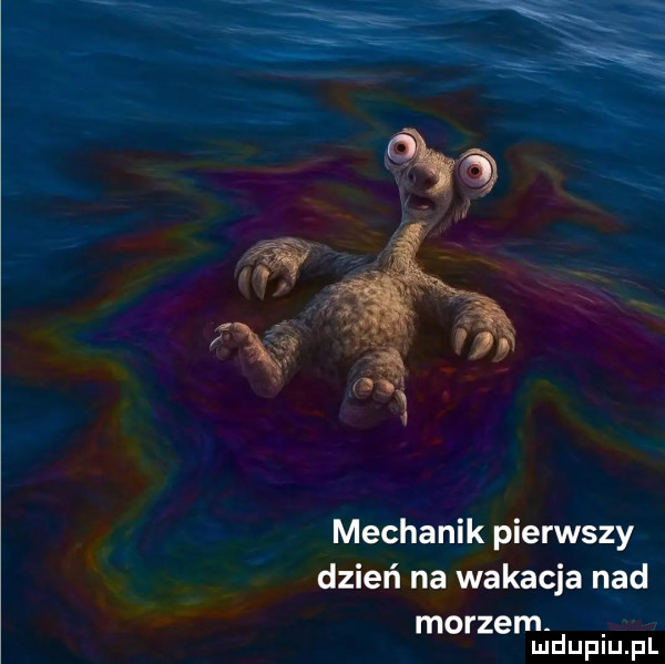 mechanik pierwszy. dzień na wokacja na morzem. fi mduplu pl