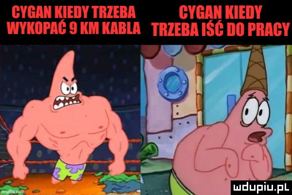 Obrazek