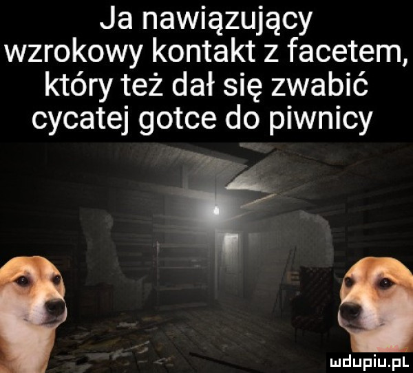 ja nawiązujący wzrokowy kontakt z facetem który też dał się zwabić cycatej gotce do piwnicy