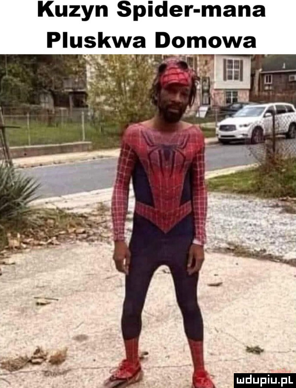 kuzyn spider mana plu sawa domowa lud iu. l