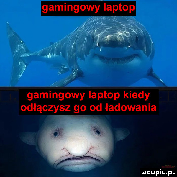 gamingowy laptop ii fa w x gamingowy laptop kiedy odłączysz go od ładowania