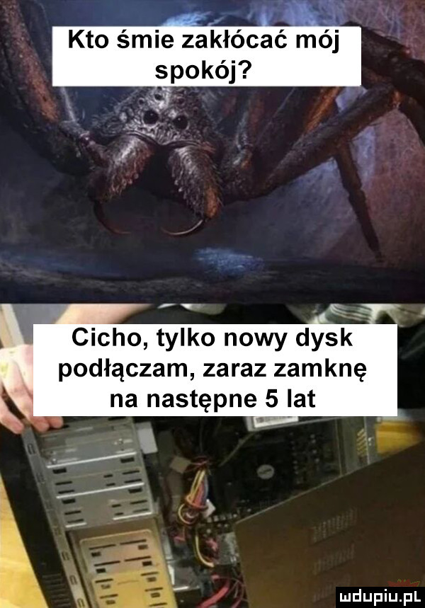 kto śmie zakłócać mój spokój cicho tylko nowy dysk podłączam zaraz zamknę na następne   v at l x g wś k i