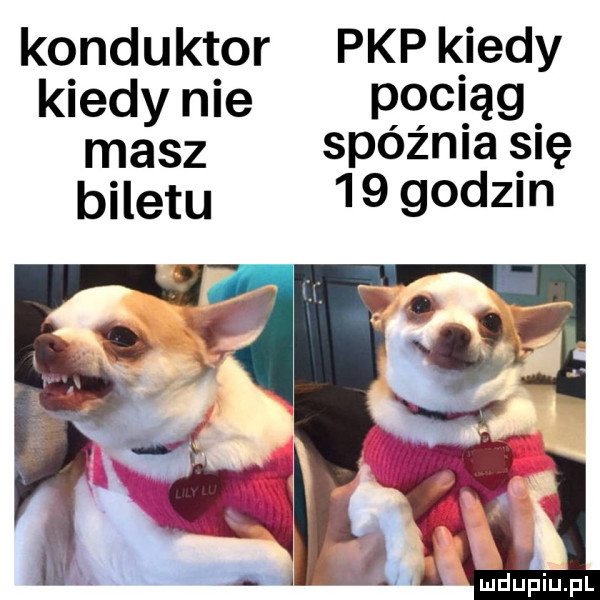 konduktor pkp kiedy kiedy nie pociąg masz spóźnia się biletu    godom