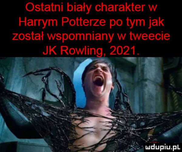 ostatni biały charakter w harrym potterze po tym jak został wspomniany w tweecie jk rowling