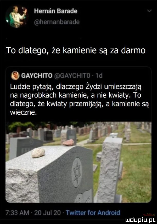 hemin bande hernanbarade to dlatego że kamienie są za darmo gavchito gavchitg  d ludzie pytają dlaczego żydzi umieszczają na nagrobkach kamienie a nie kwiaty. to dlatego że kwiaty przemijają a kamienie są witane.      am    jul    twitter for android