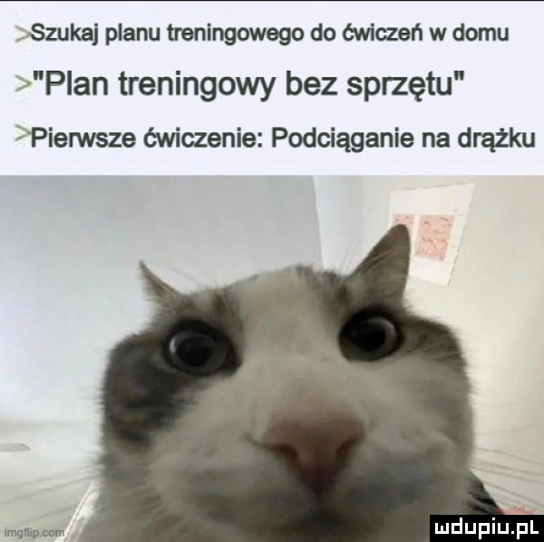 szukaj planu treningowego do ćwiczeń w domu l plan treningowy bez sprzętu pierwsze ćwiczenie podciąganie na drążku imglllumrv