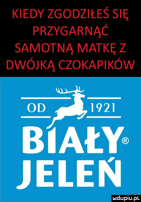 kiedy zgodziłeś się przygarnąc samotną matkę z dwójką czokapików       biaily jelen