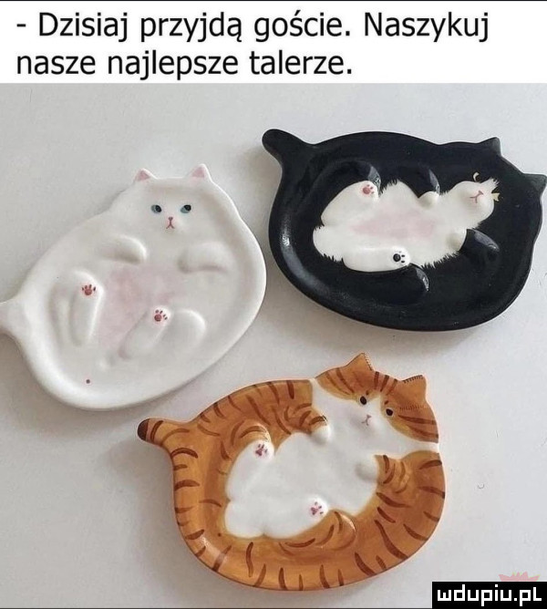 dzisiaj przyjdą goście. naszykuj nasze najlepsze talerze