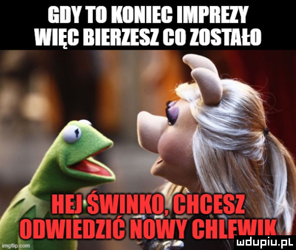 eiiy i il kiiiieg imprezy więc iiieiiiesi an zwis i agi