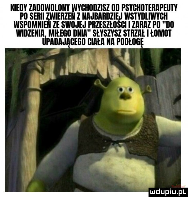 iiieiiv zadawilliiiiy giiiiiizisz iii psychoterapeiity p  seiiii ieiiz z najbardziej wstyilliwvgii wspumiiie ze swojej piizeszłiisgi i zaiiaz i ll iii widzenia miłego iiiiia słyszysz stazai. l tllmtlt drnnndqcmo biała ica plllltlllie