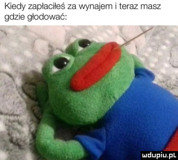 kiedy zapłaciłes za wynajem i teraz masz gdzie głodowaó