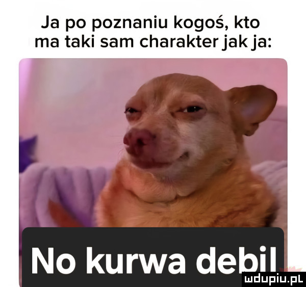 ja po poznaniu kogoś kto ma taki sam charakter jakla no kurwa debil lud uplu. pl