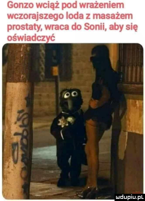 gonzo wciąż pod wrażeniem wczorajszego loda z masażem prostaty wraca do sonii aby się oświadczyć