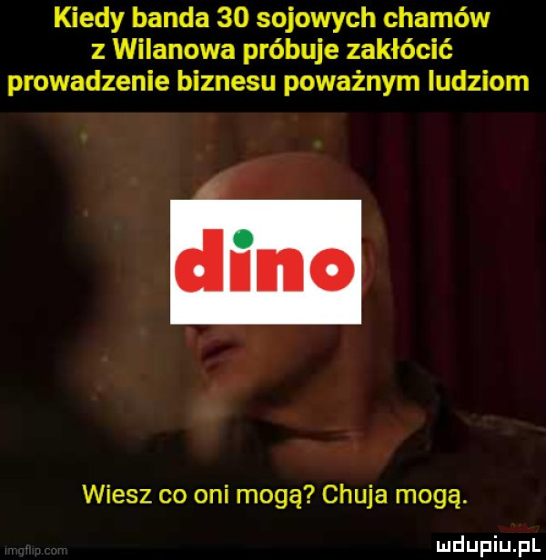 kiedy banda    sojowych chamów z wilanowa próbuje zakłócić prowadzenie biznesu poważnym ludziom wiesz co oni mogą chuja mogą
