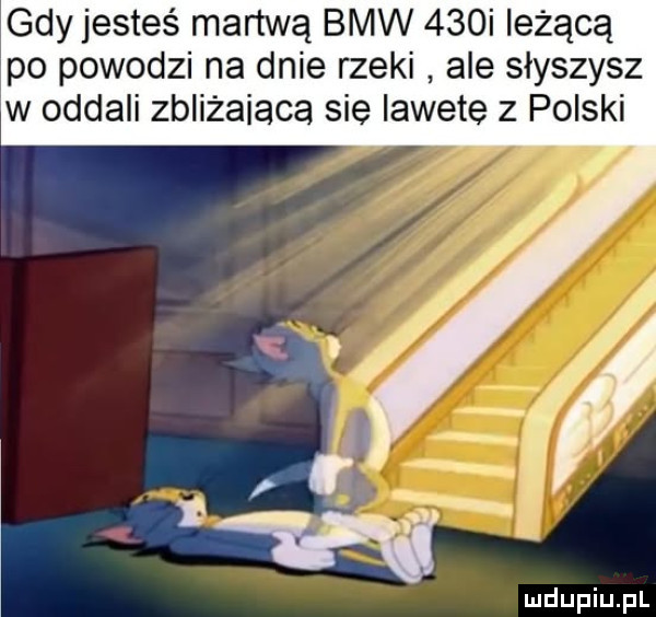gdy jesteś martwą bmw    i leżącą po powodzi na dnie rzeki ale słyszysz w oddali zbliżaiaca sie lawete z polski