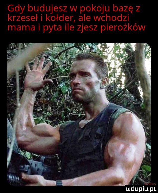 Obrazek