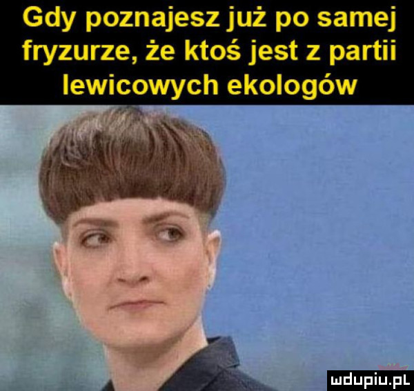 gdy poznajesz już po samej fryzurze że ktoś jest z partii lewicowych ekologów ah