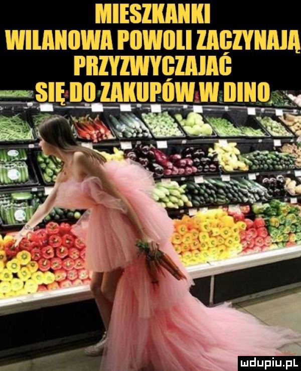 rebeśzekędheku wumnwsr po j    zl gezvdhdjr wader wszę lblufipw l benq